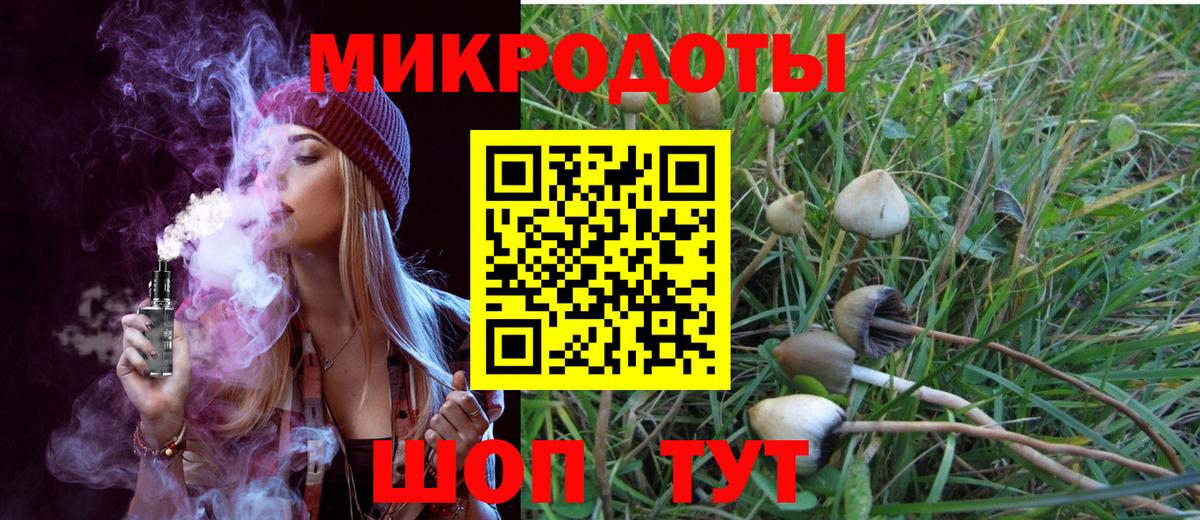 Шатура  Галлюциногенные грибы MAGIC MUSHROOMS  как найти   Псилоцибиновые грибы GOLDEN TEACHER  Вход с VPN 