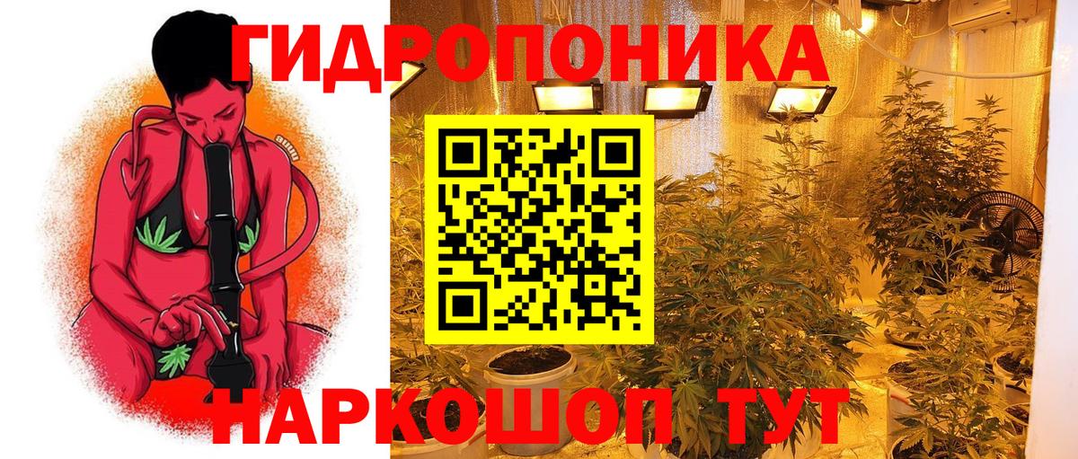 Шишки марихуана сатива Шатура